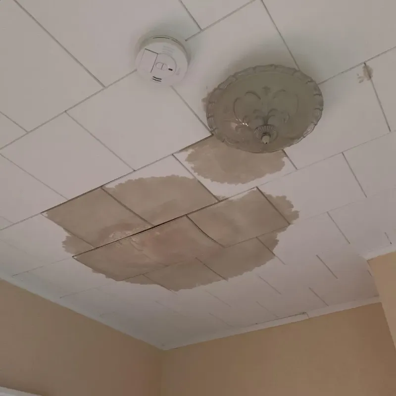 Ceiling Water Damage Repair in Kankakee County, IL