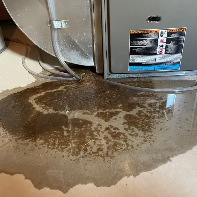 Pipe Burst and Leak Restoration in Kankakee County, IL
