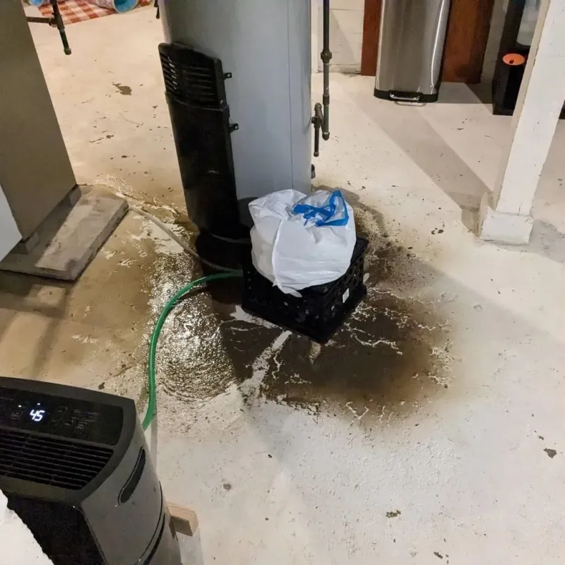 Sewage Backup Cleanup Service in Kankakee County, IL